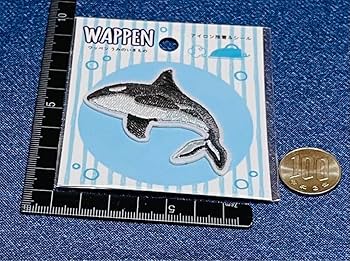 大図鑑No.407 海の生き物⭐︎ギフト　プレゼント　ジンベイザメ　シャチ　くじら 大図鑑No.407 海の生き物⭐︎ギフト プレゼント ジンベイザメ